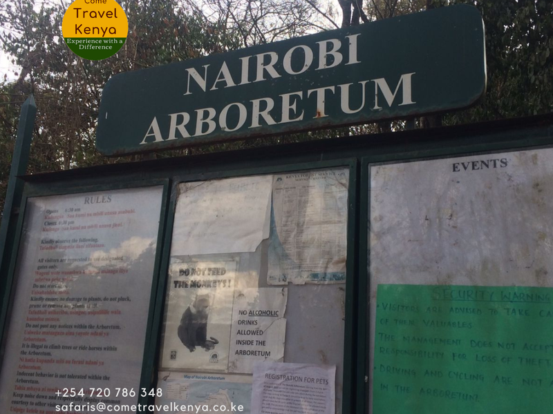 The Nairobi Arboretum