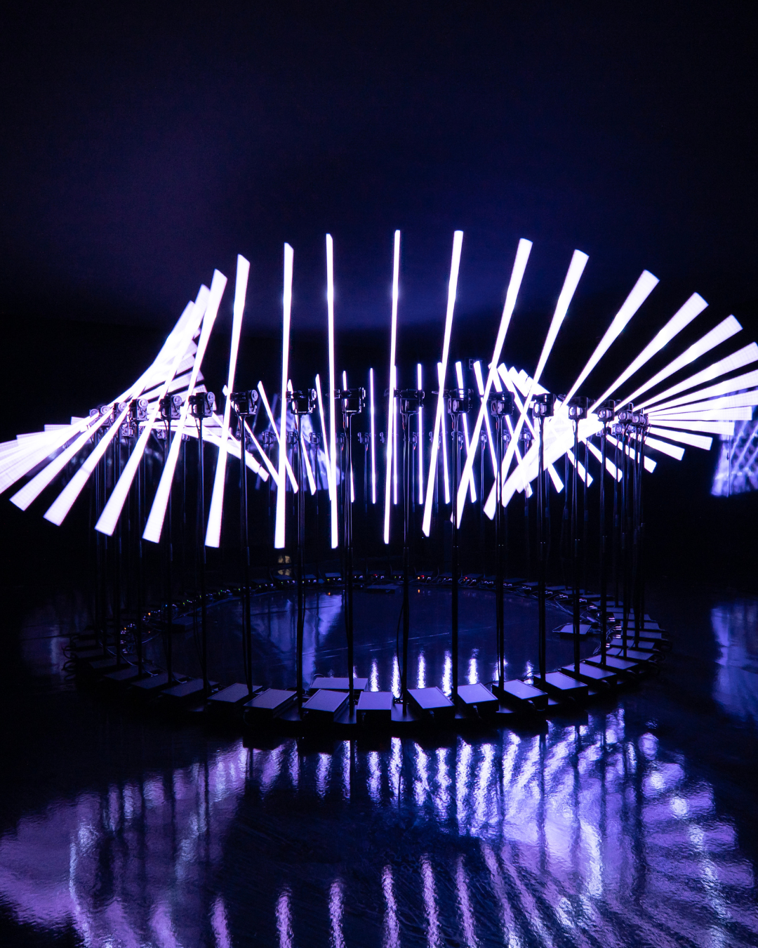 Collectif Scale purple neon installation at Dior’s Grey Zone exhibition in Los Angeles.