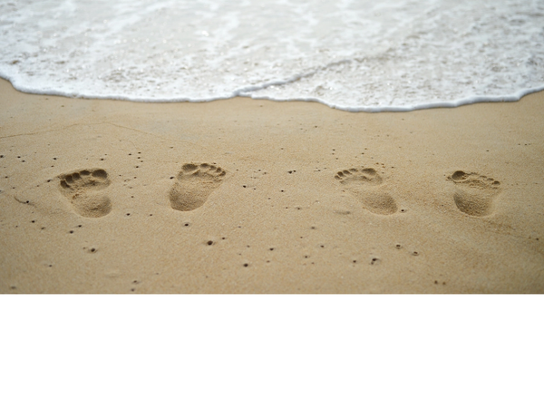 couple walking on a beach in the sunset