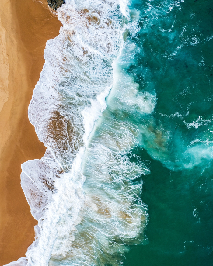 the ocean