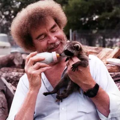 G-Shock DW-5600C-1 - Bob Ross