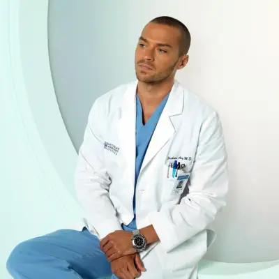 Omega Seamaster Diver 300M Chrono - Grey's Anatomy - Jackson Avery