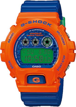 G-Shock DW-6900SC-4 watch