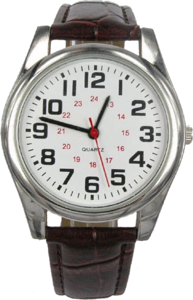 George Casual watch