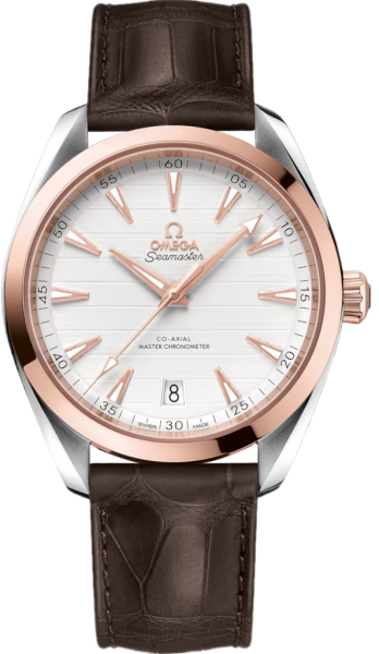 Omega Seamaster Aqua Terra 220.23.41.21.02.001 watch