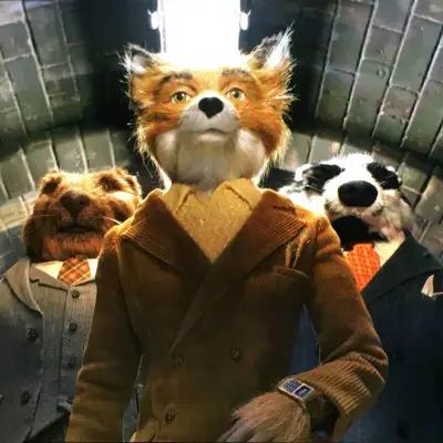 Casio CA500WE-1 - Fantastic Mr. Fox - Mr. fox