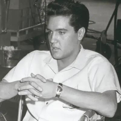 Hamilton Ventura - Elvis Presley