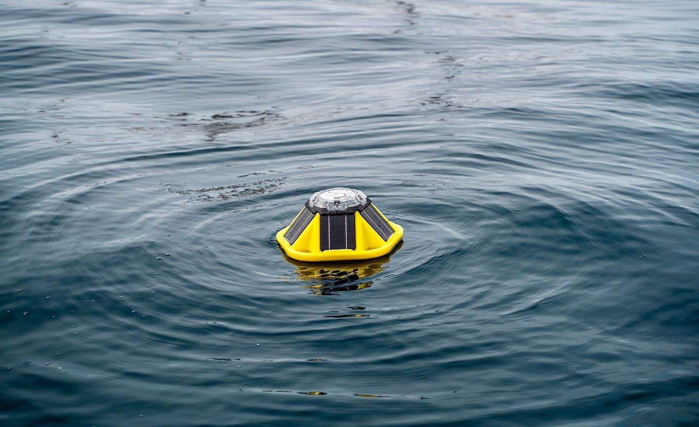 Research coordinator Natacha Fabregas release a buoy that will drift in the ocean and measure wave height. Photo: Malin Kvamme 