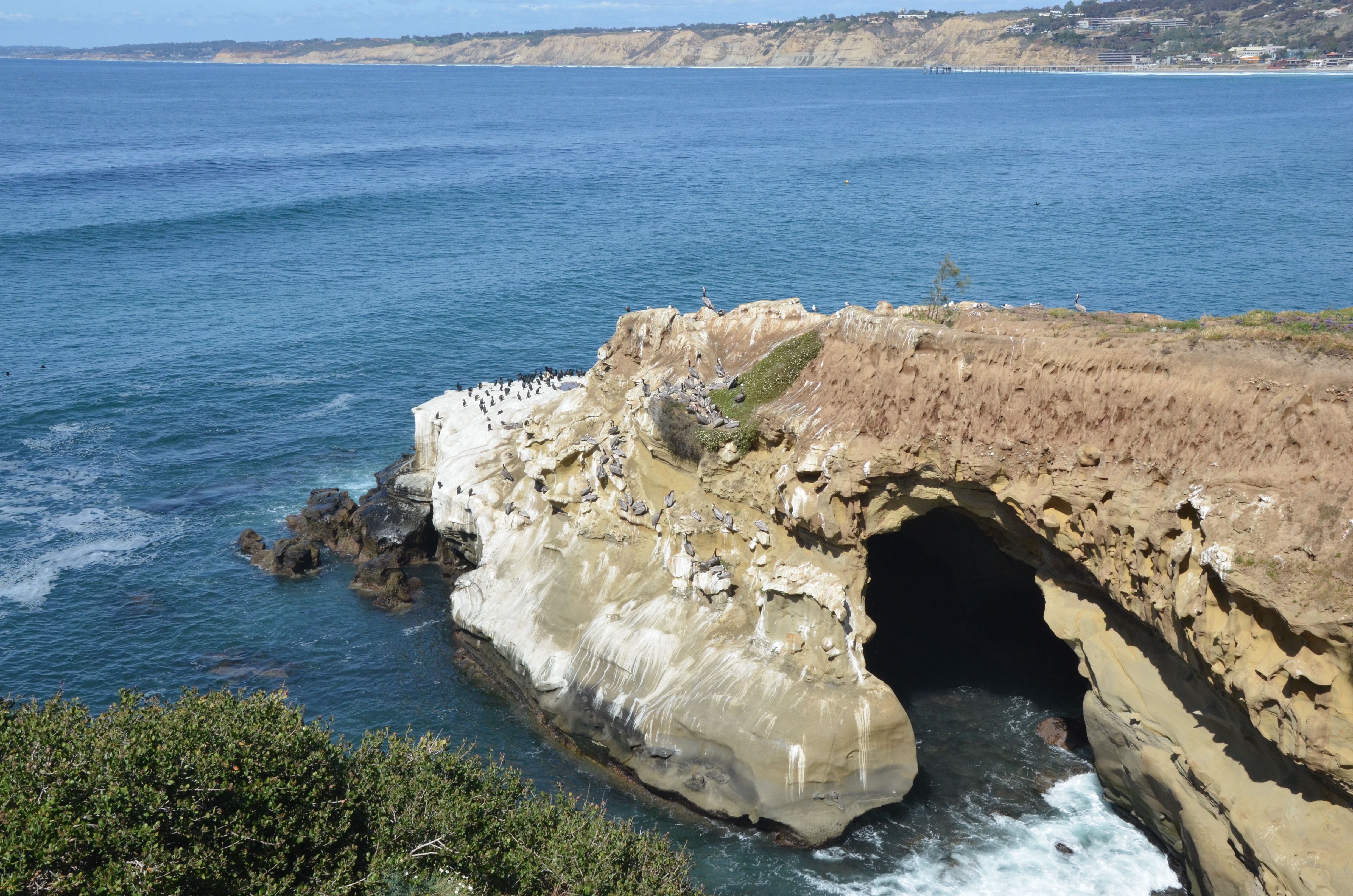 Along the San Diego coast. Photo: Ronald Toppe