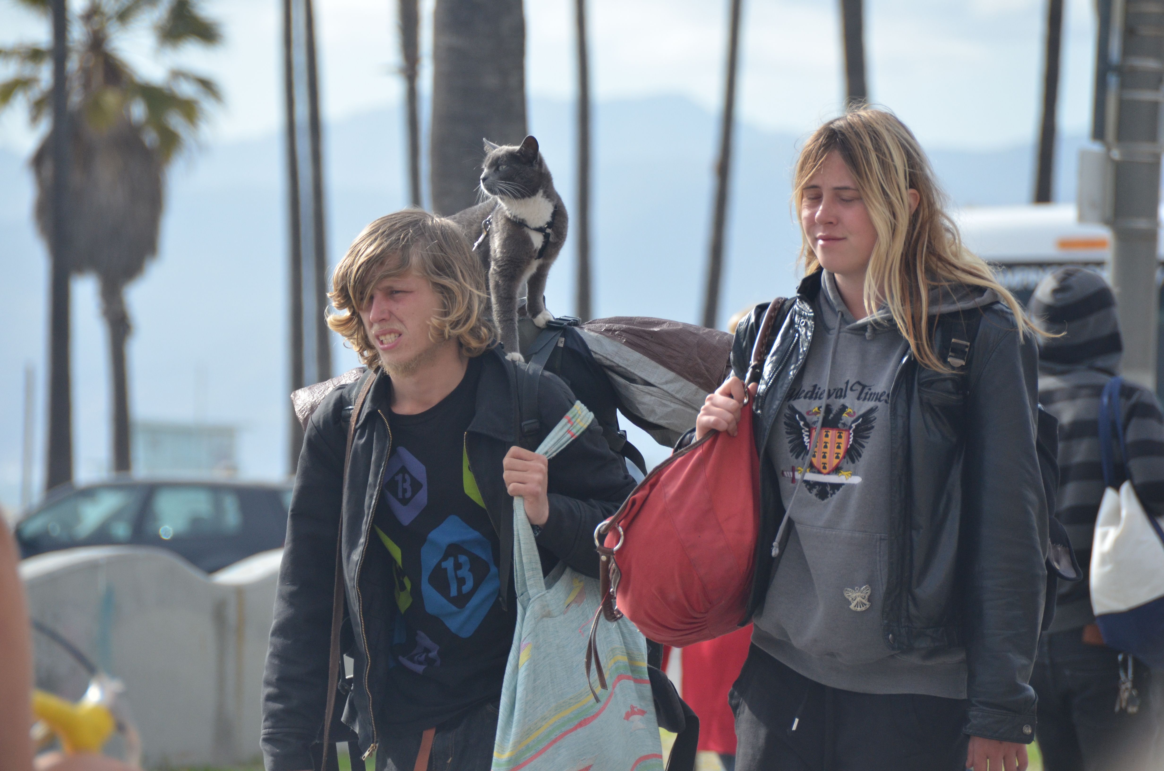 Venice Beach. Once a hippie-heaven, now most of all a tourist destination. Photo: Ronald Toppe