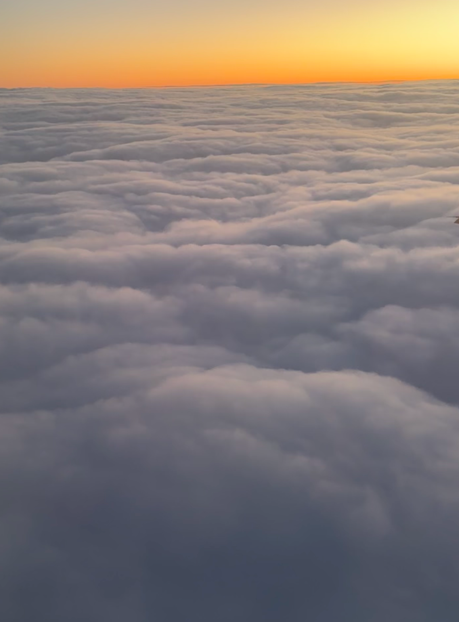 Captura de pantalla 2026-03-31 a las 23.43.01