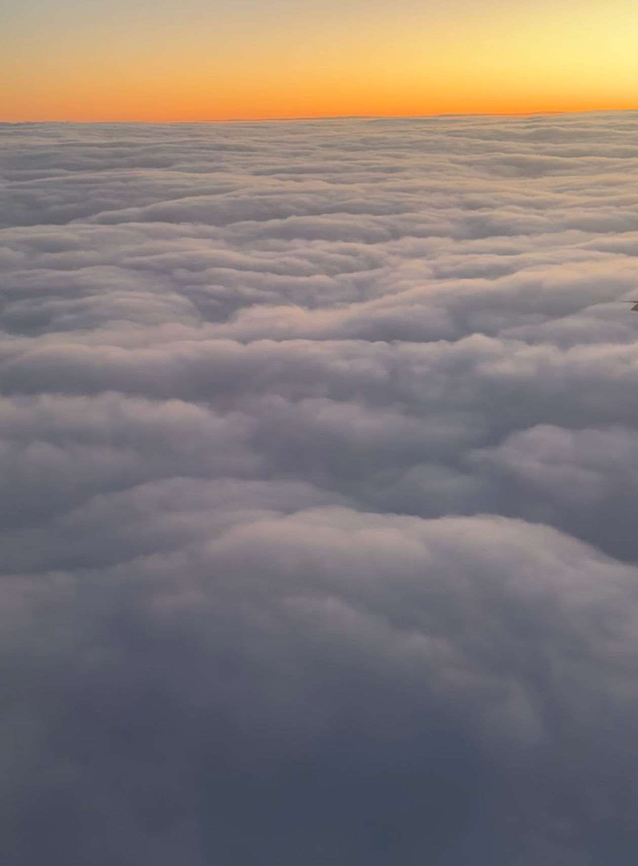 Captura de pantalla 2026-03-31 a las 23.43.01