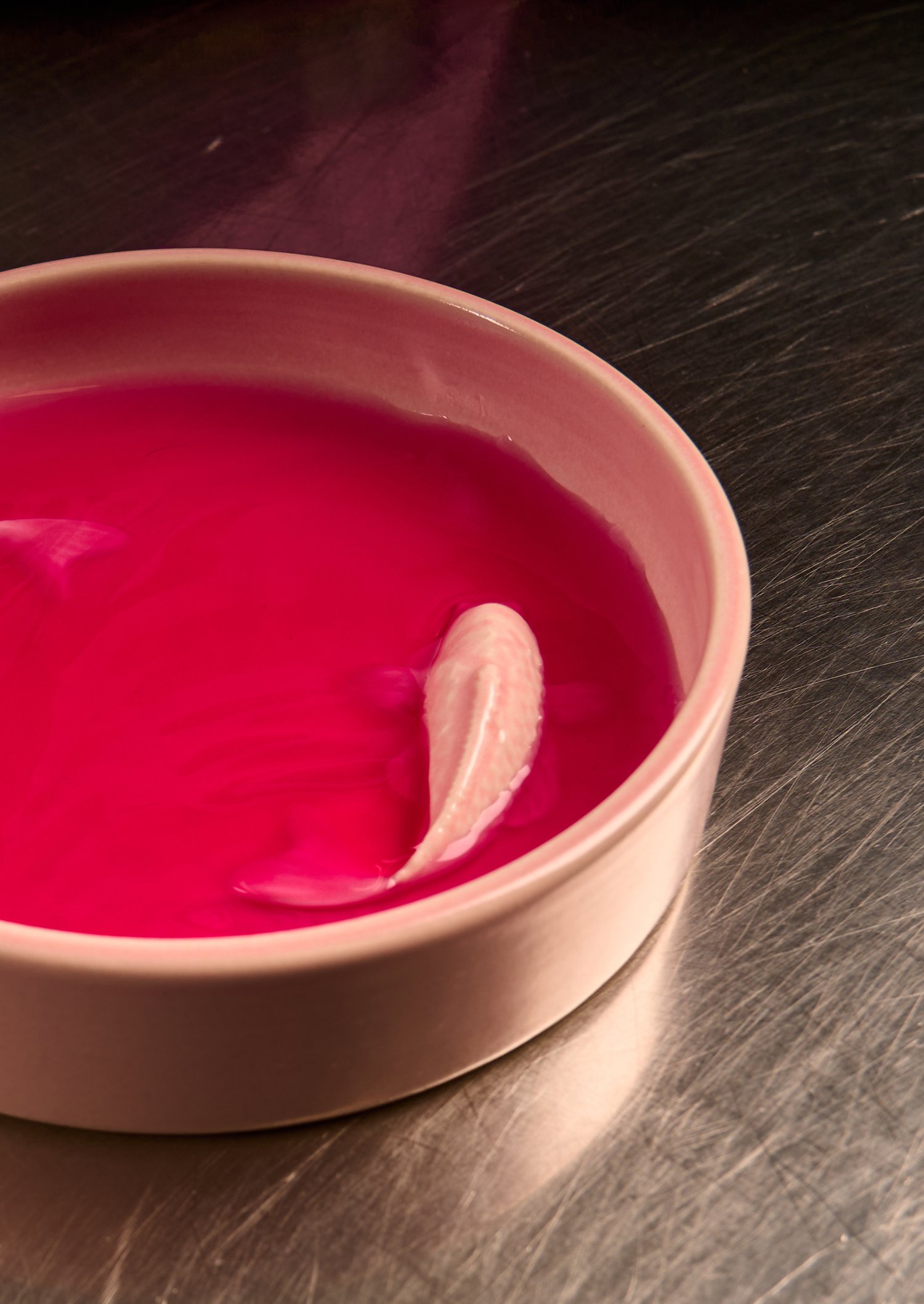 Pro-Capture One 4158