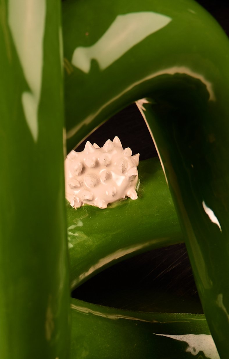 Pro-Capture One 5195