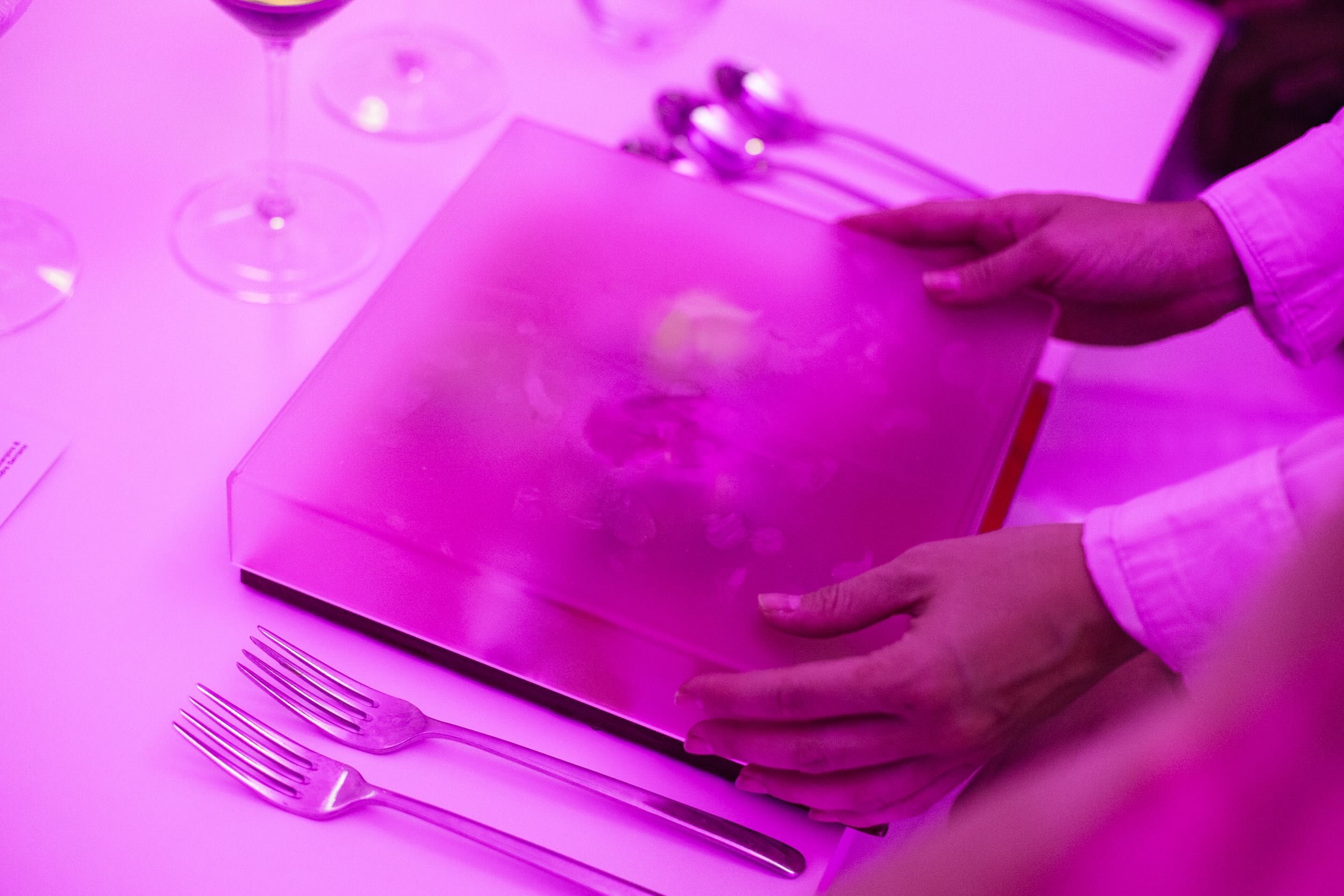 casa pasion_(12-09)low_-665