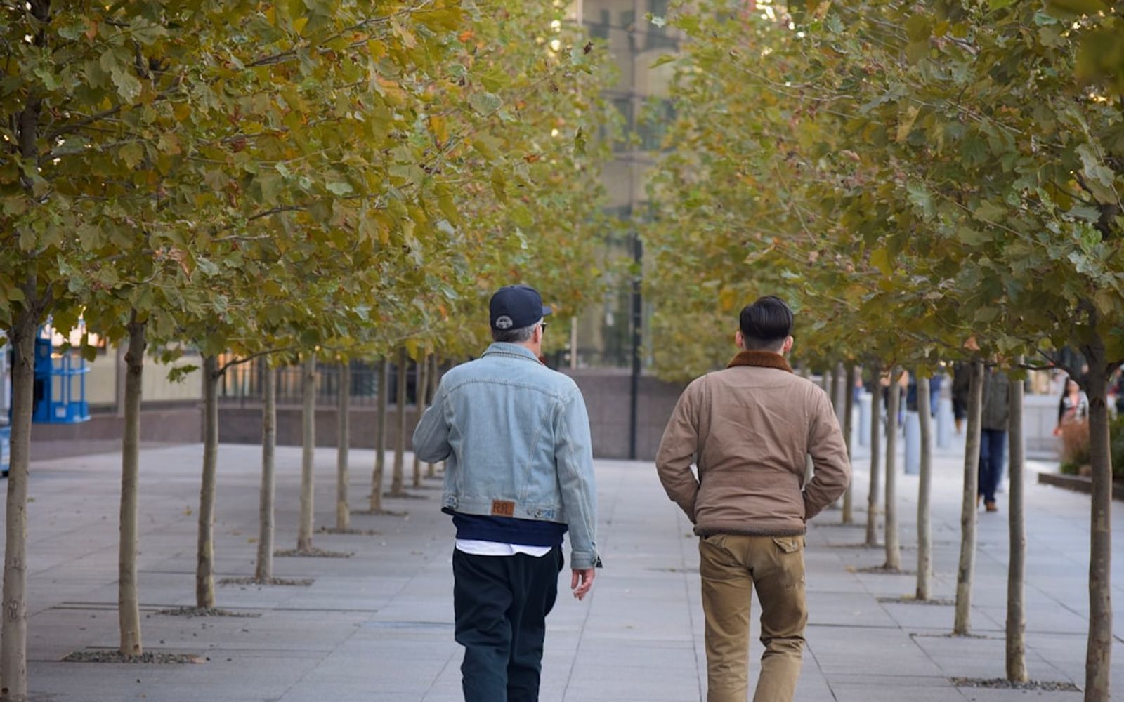 Stories in /Contrast