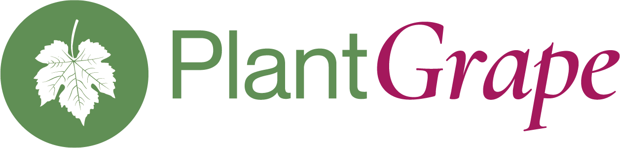 logo plant grape