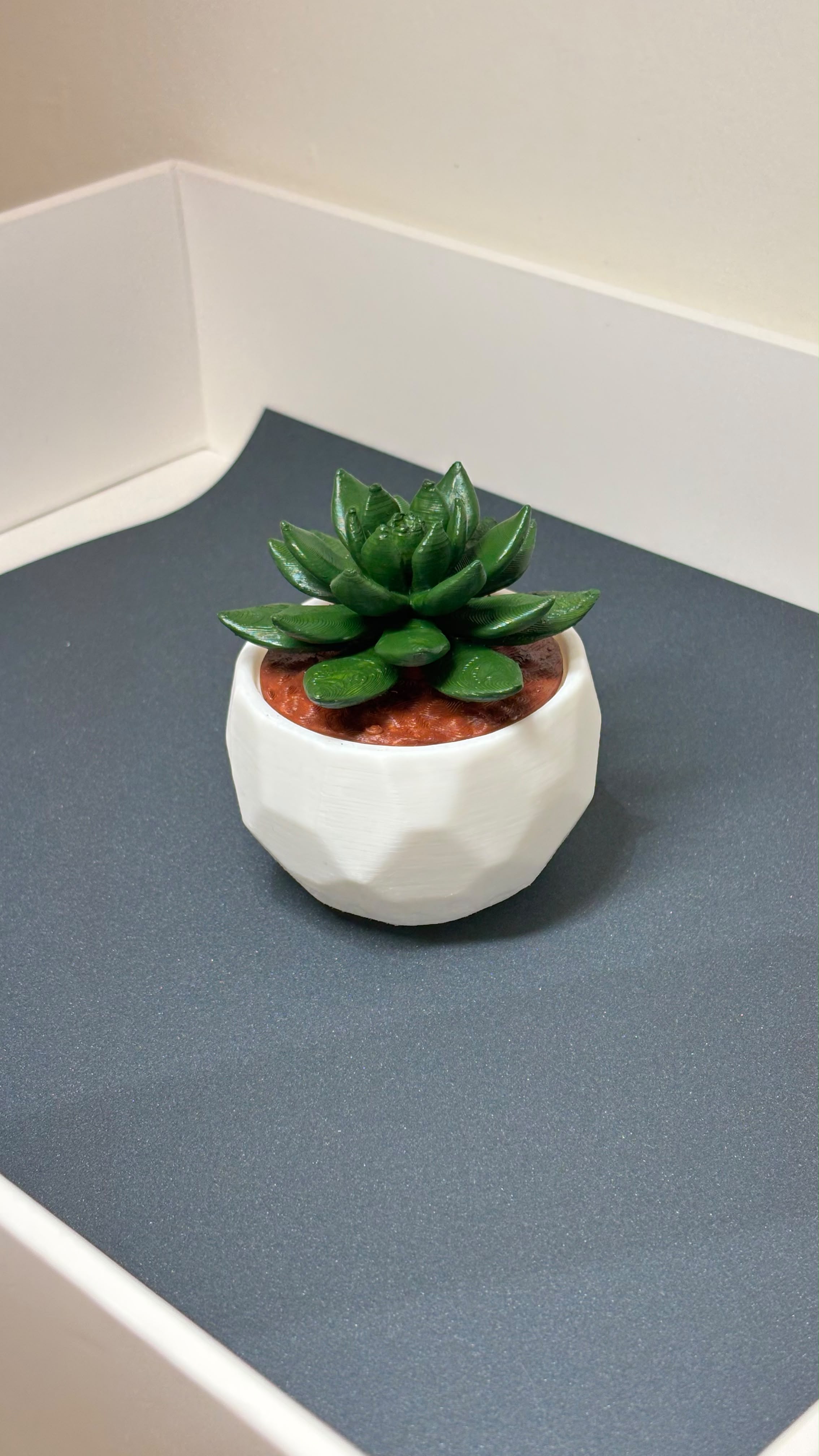 Minimalist Ribbed Succulent Planter Pots (Set of 2) view 3