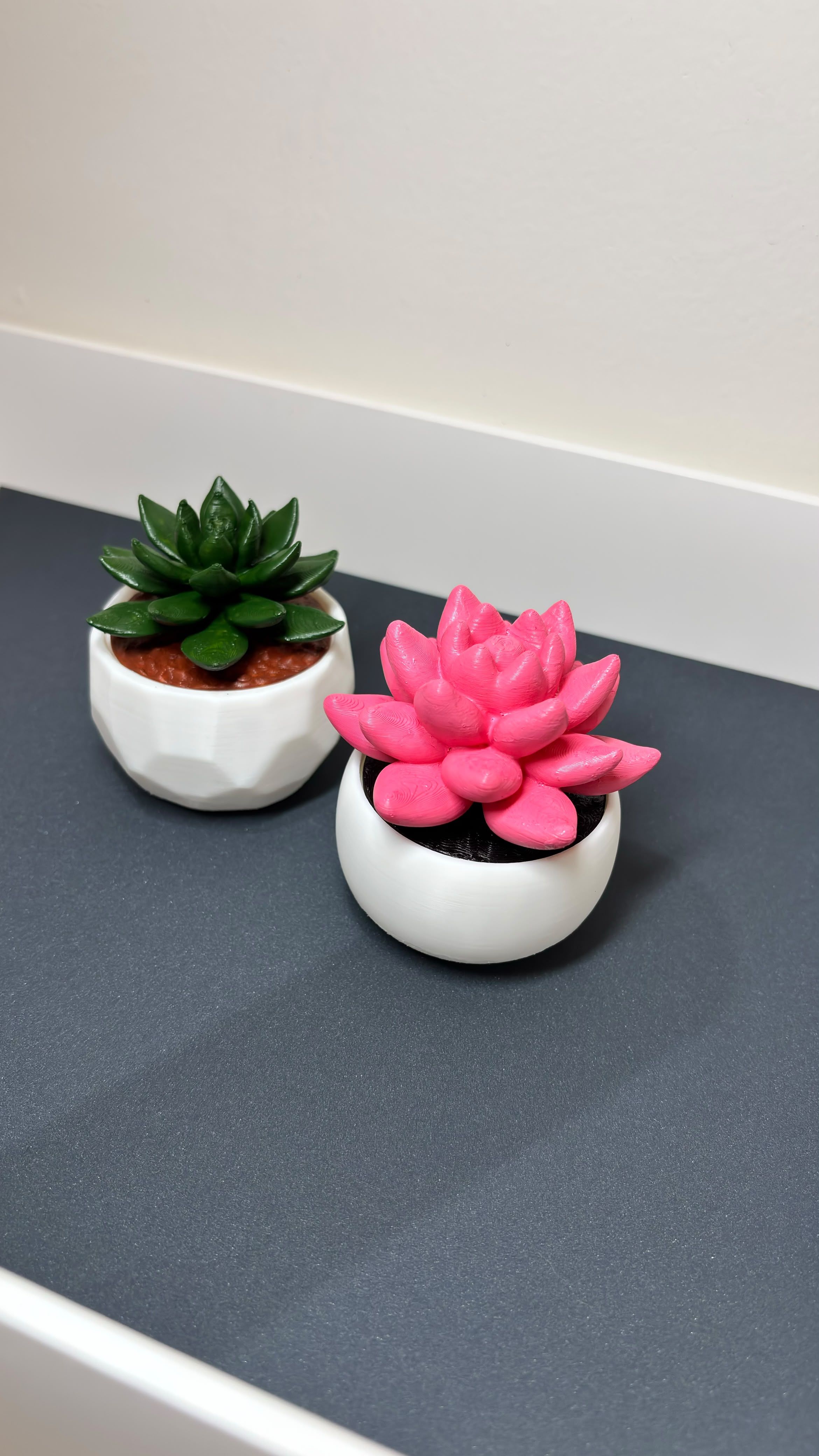 Pair of minimalist white 3D printed ribbed succulent flower pots with pink and green plants