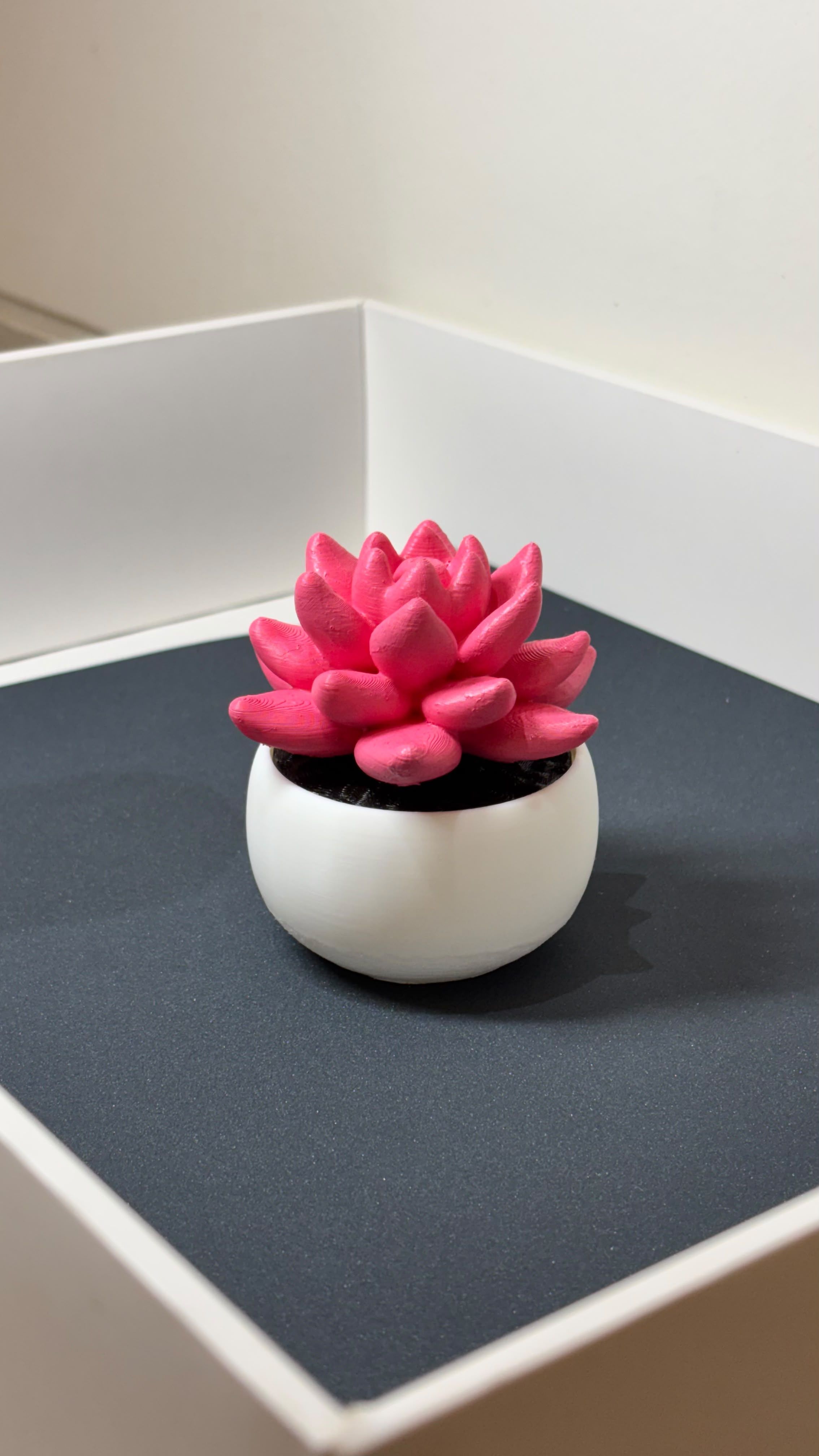 Minimalist Ribbed Succulent Planter Pots (Set of 2) view 2