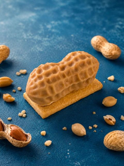 La perfezione, a volte, sta nei dettagli Un nuovo glow up per la nostra Arachide Realistica: un guscio…