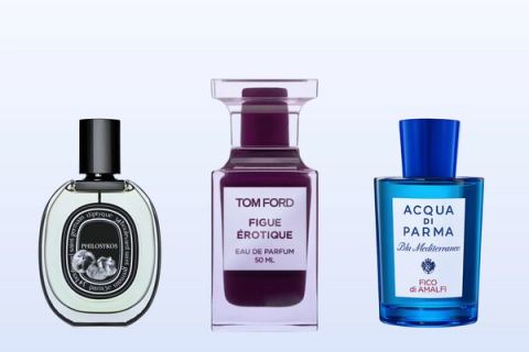Philosykos, Figue Érotique and Fico di Amalfi bottles on a pale blue background