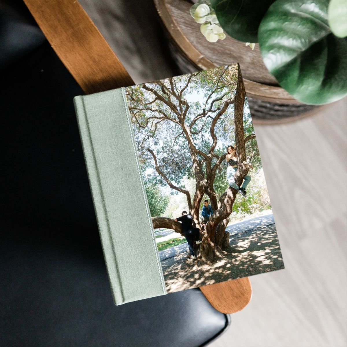 Photo album with image, sitting on the arm of a chair next to a plant on an end table, by Lavon Photography.