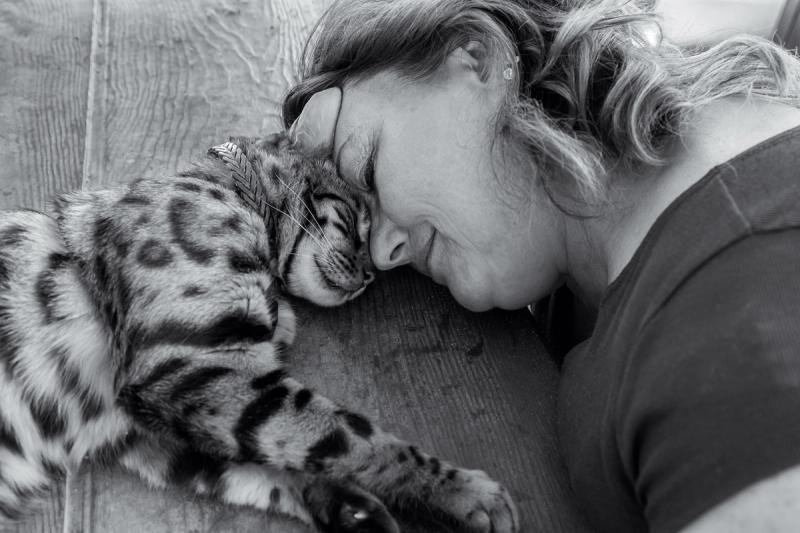 Black and white photo of a woman and a spotted cat resting their heads close together.