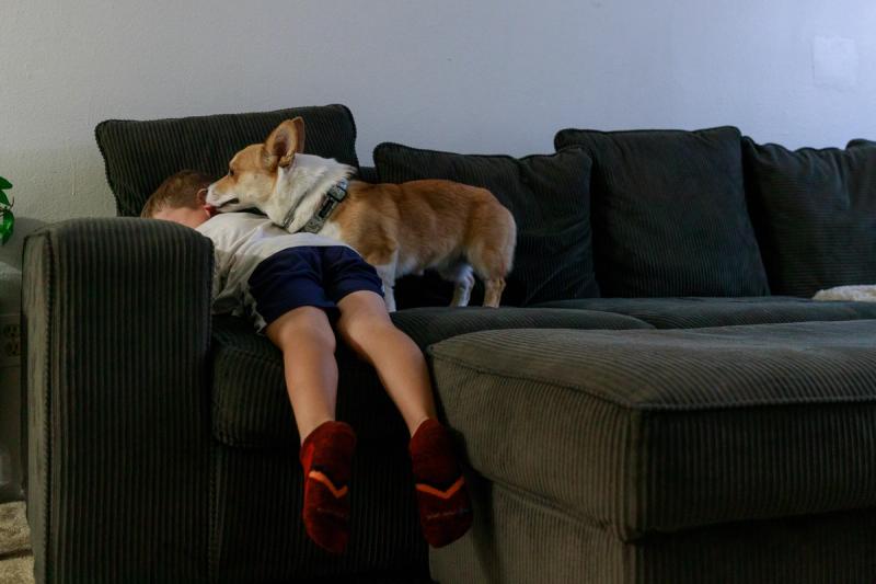 A Corgi licks a child's ear as they relax on a dark green sofa.