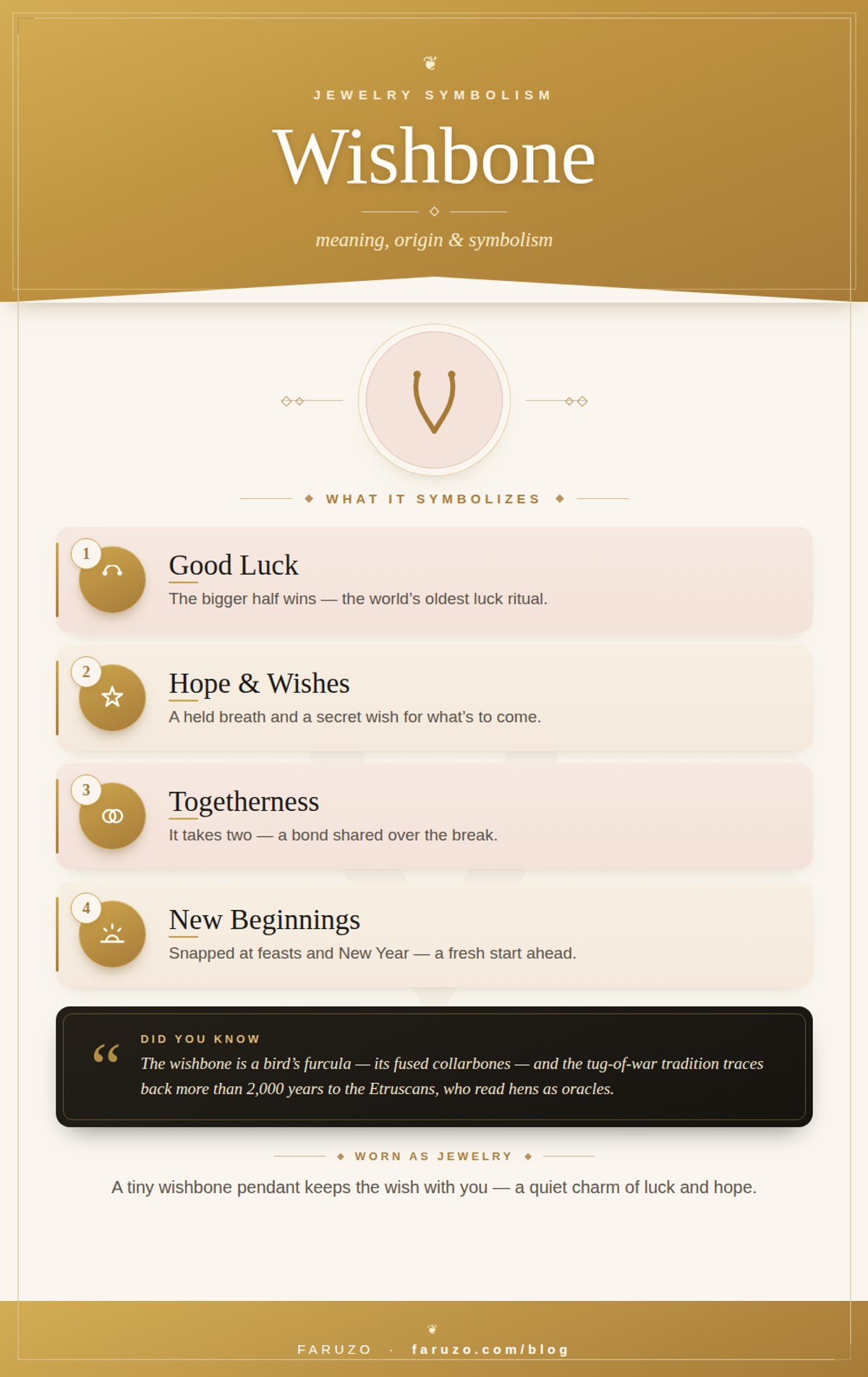 Wishbone meaning infographic: good luck, hope and wishes, togetherness and new beginnings, in the FARUZO style