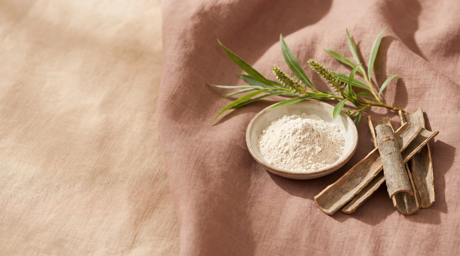 Willowbark extract — a dish of pale willow-bark powder beside willow bark on warm linen