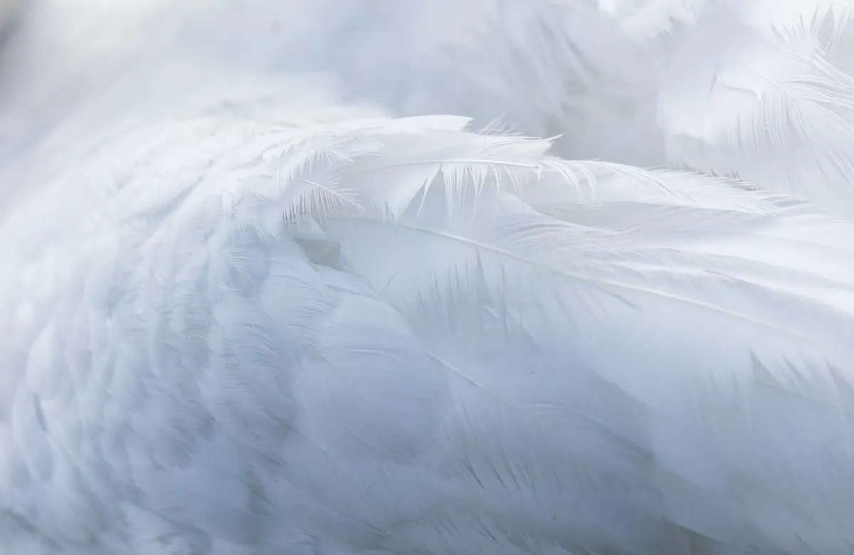 A Guide To Sensitive Skin: Yes, Even Skin Can Be Moody