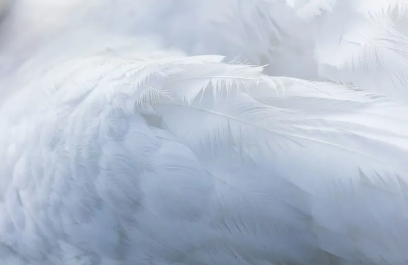 A Guide To Sensitive Skin: Yes, Even Skin Can Be Moody