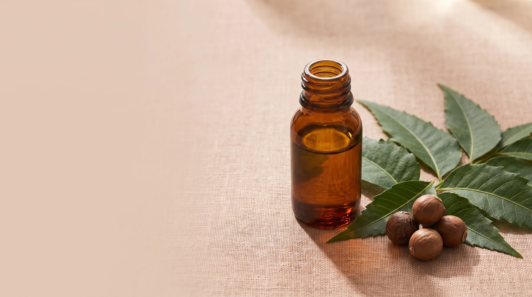 Neem oil — a vessel of amber neem oil beside fresh neem leaves and seeds on warm linen