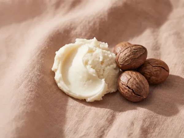 Shea Butter — PROVEN ingredient
