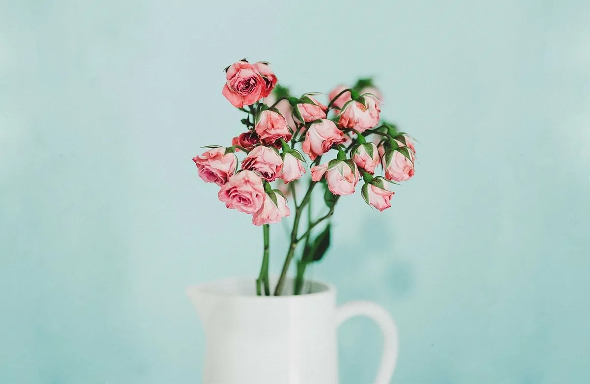 Got Dry Skin Patches on Your Face? How to Fix them Fast