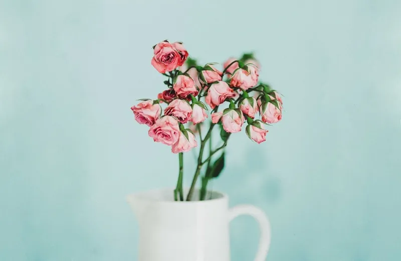 Got Dry Skin Patches on Your Face? How to Fix them Fast