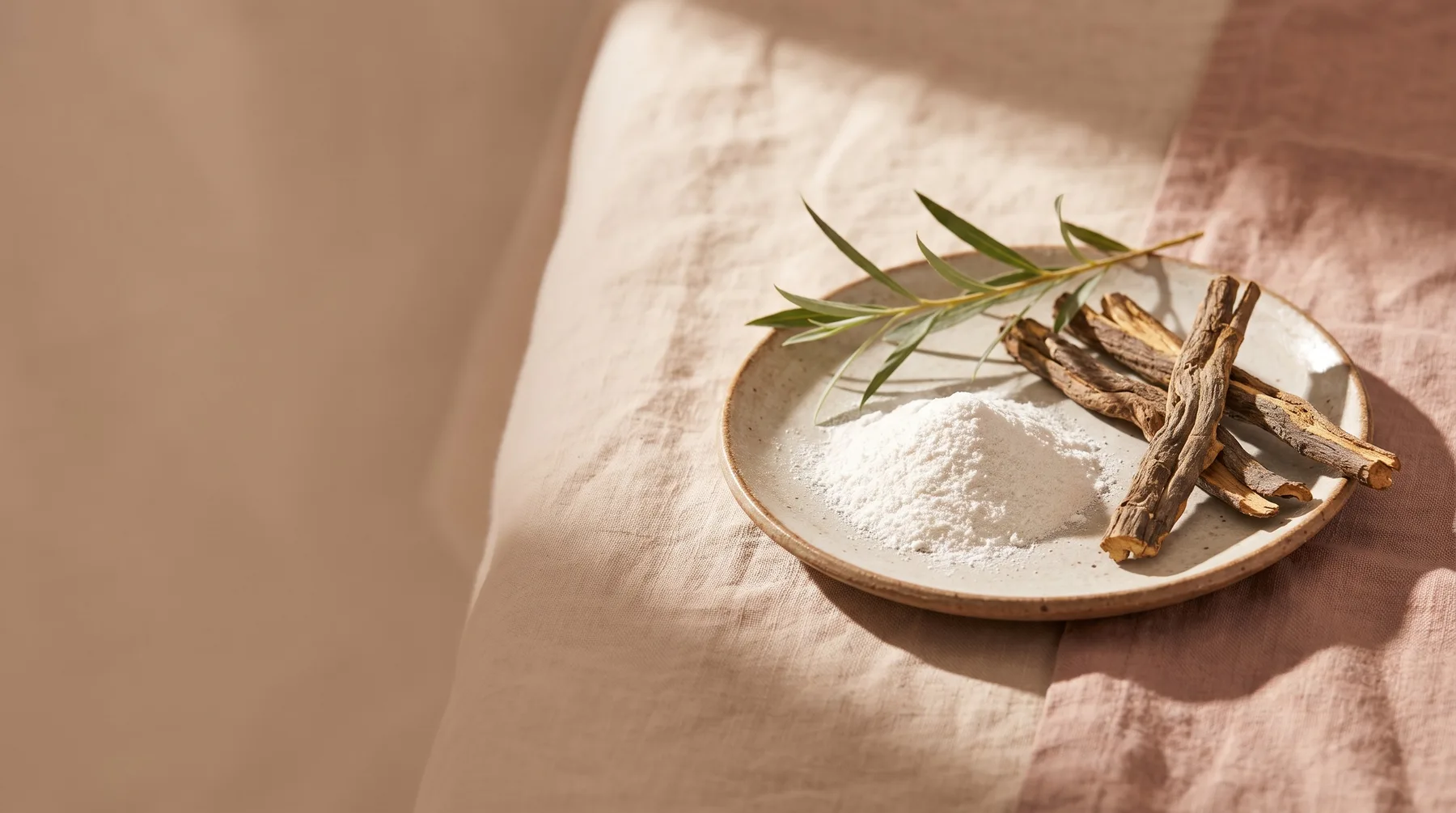 Beta hydroxy acid — a dish of white BHA powder beside willow bark and a willow sprig on warm linen