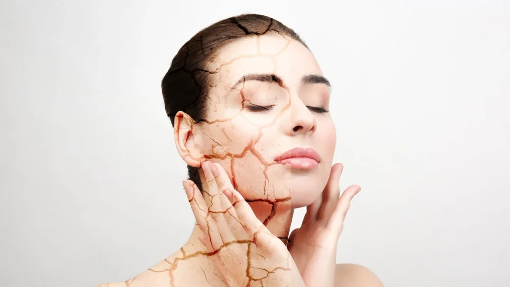 Dehydrated Skin vs. Dry Skin: What’s the Difference? — PROVEN personalized skincare