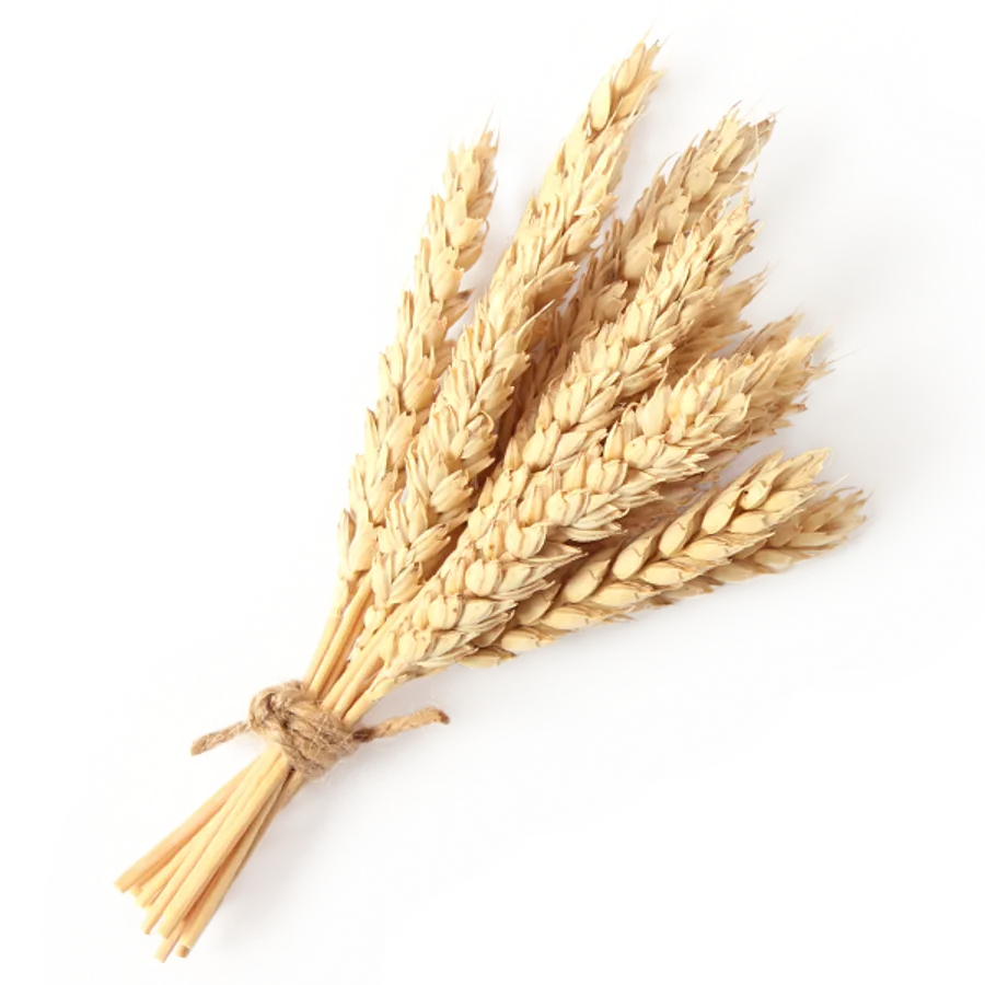 Azelaic acid — PROVEN ingredient