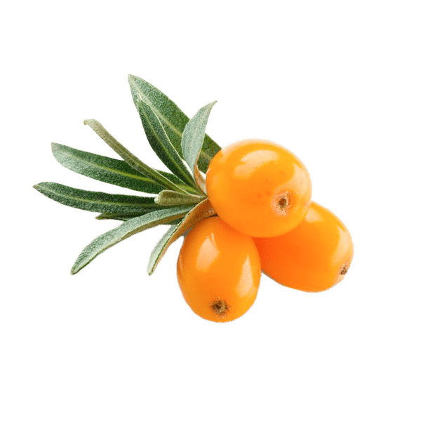 5a275201992cd33e8e24071d5a51c47ddfe29a21-600x600.png