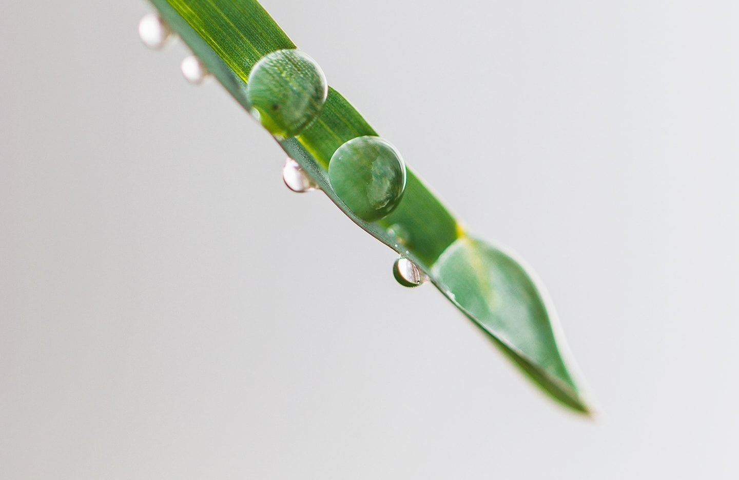 Image of Parabens - Everything You Need to Know