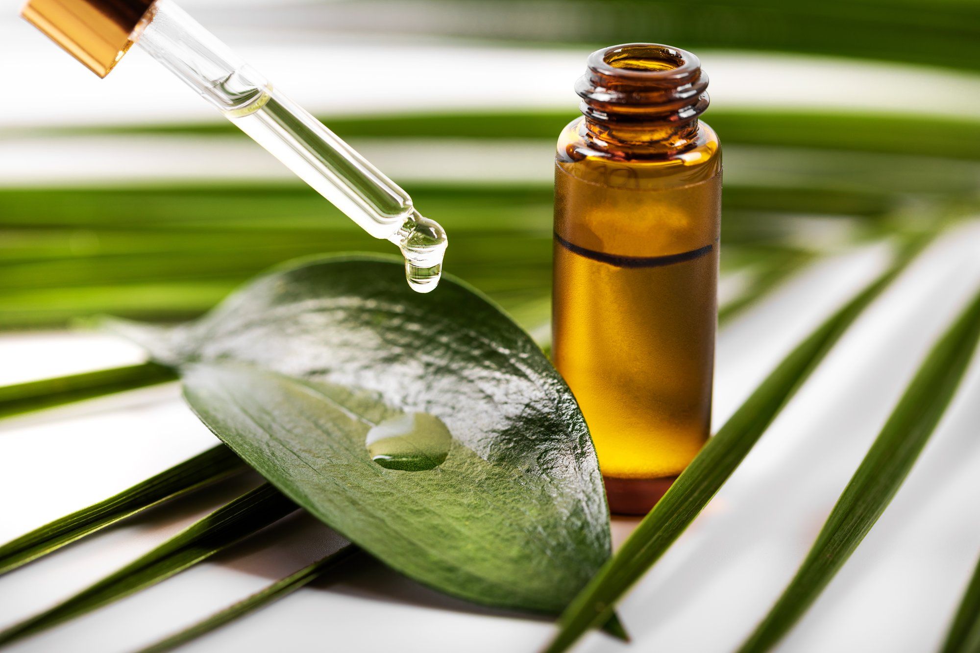 Image of Does Tea Tree Oil Help Acne?