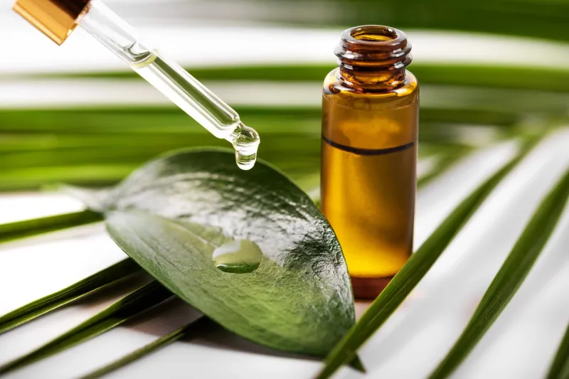 Does Tea Tree Oil Help Acne?