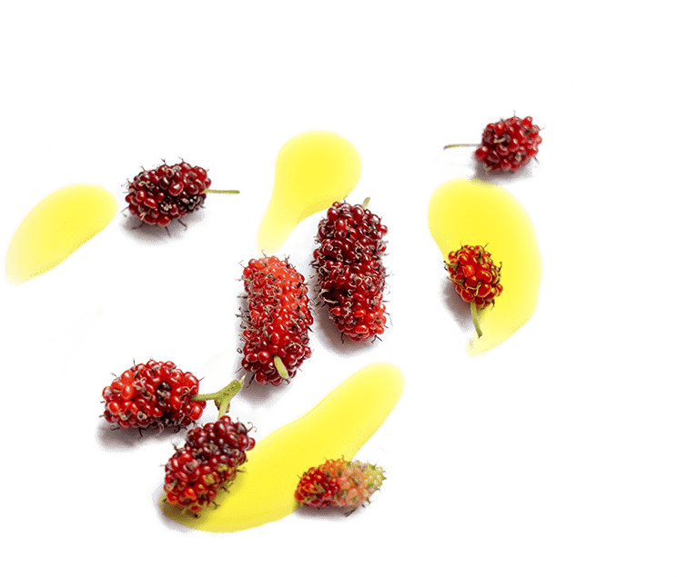 d97bf4a6721759a1dcf42dc88391dbf77a1f04ec-744x635.png