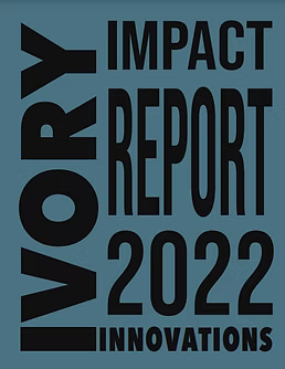 2022 Impact Report