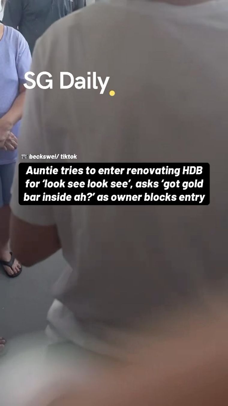 Auntie tries to enter renovating HDB for 'look see look see'