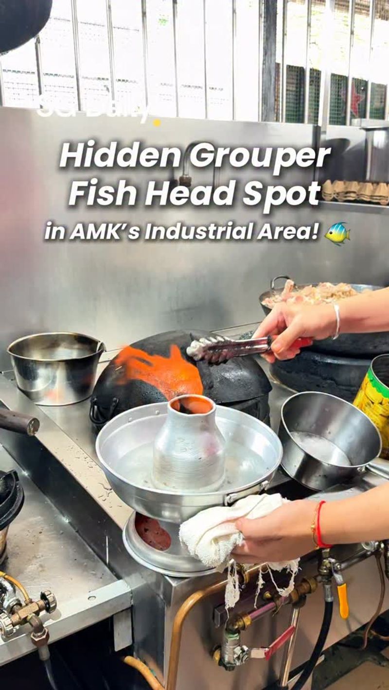 Hidden grouper fish head spot in AMK's industrial area