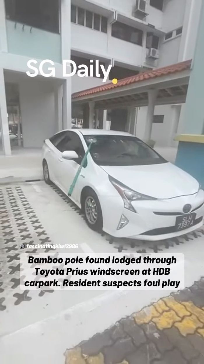 Bamboo Pole Pierces Through Toyota Prius Windscreen at HDB Carpark