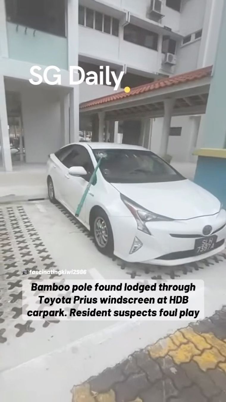 Bamboo Pole Pierces Through Toyota Prius Windscreen at HDB Carpark